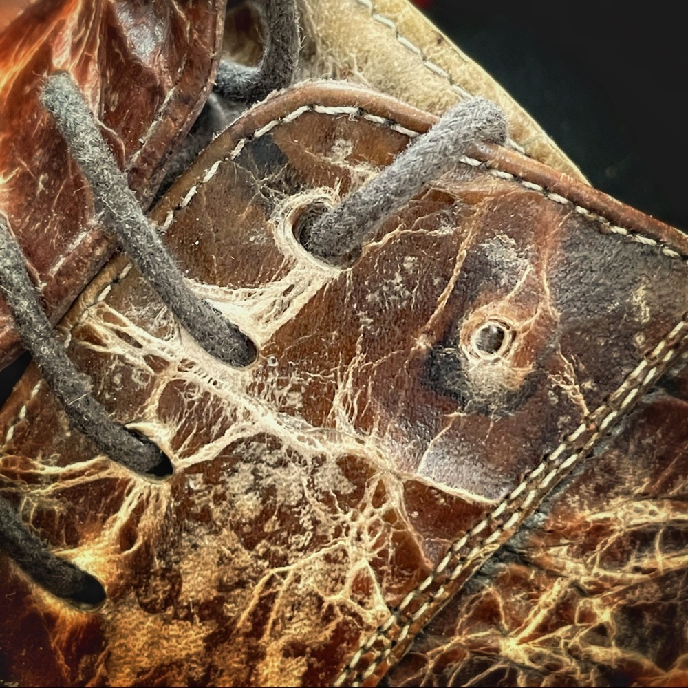 Jo Ghost Exotic Python Shoes 44 / 11 - image 5